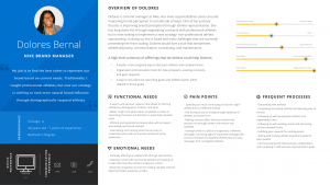 Nike Persona 1 - Nike Brand Manager